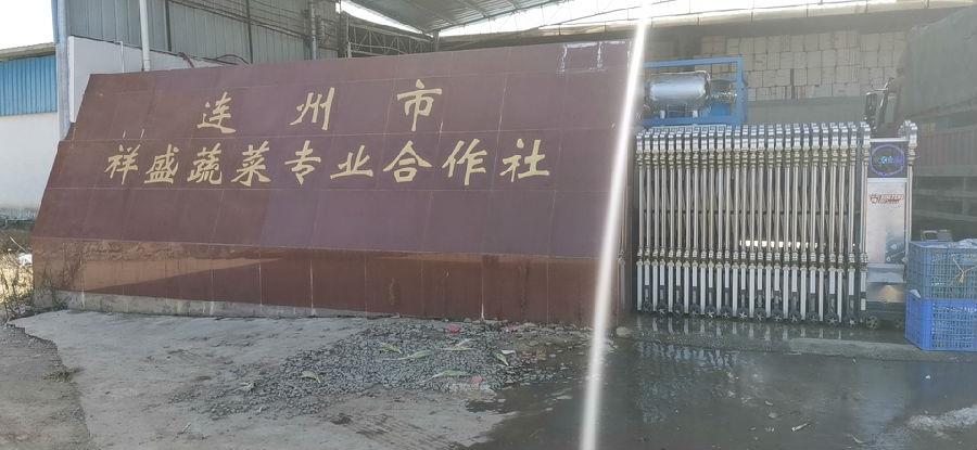連州市祥盛蔬菜專業合作社-真空預冷機/管冰機